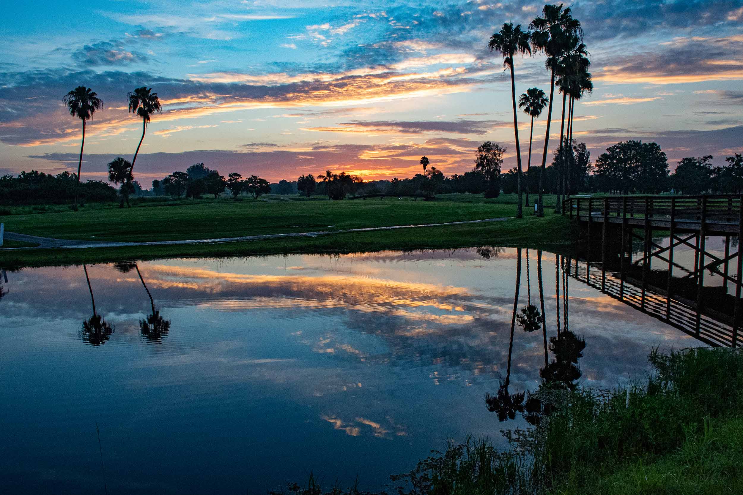 Favorite Sunset 2500